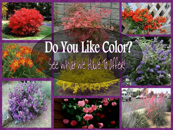 Parkland Tree Farm & Nursery